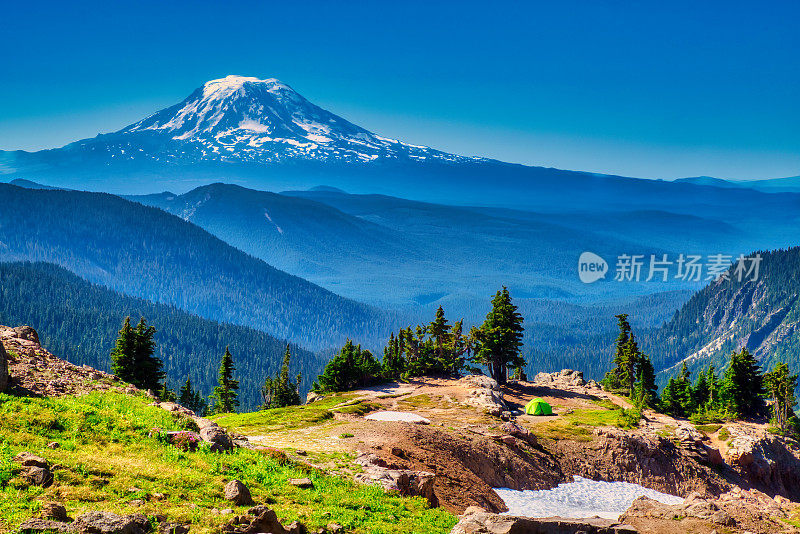 阿尔卑斯草甸和亚当斯山在Gifford Pinchot NF